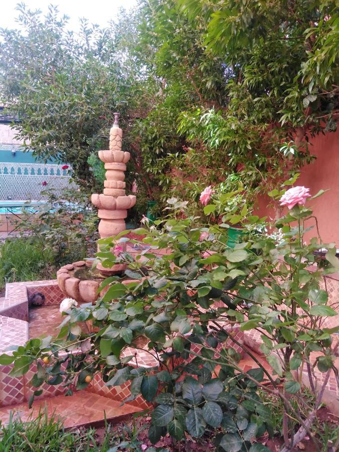 Villa Eden ورزازات المظهر الخارجي الصورة