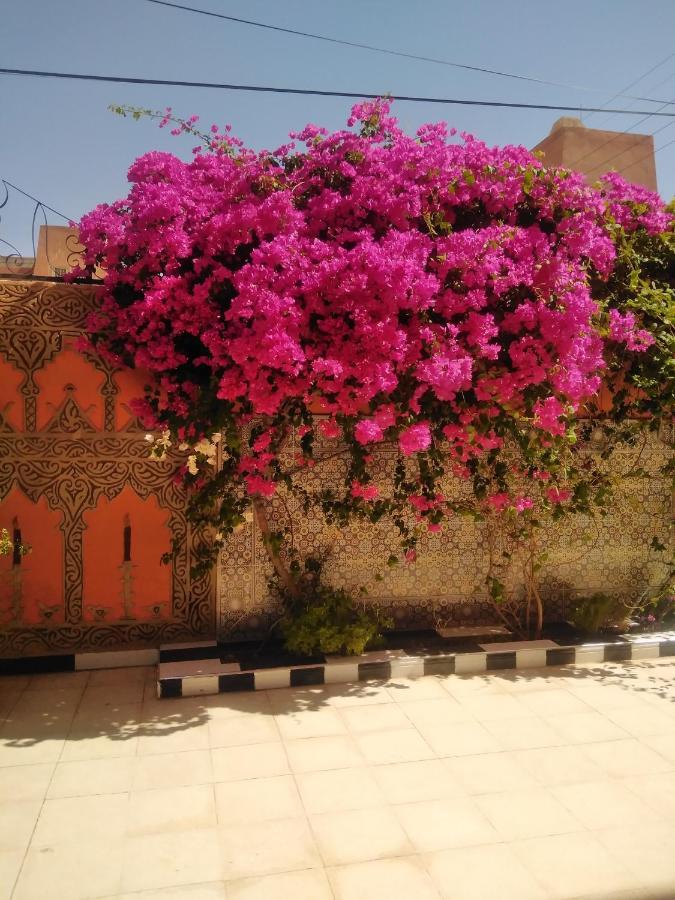 Villa Eden ورزازات المظهر الخارجي الصورة