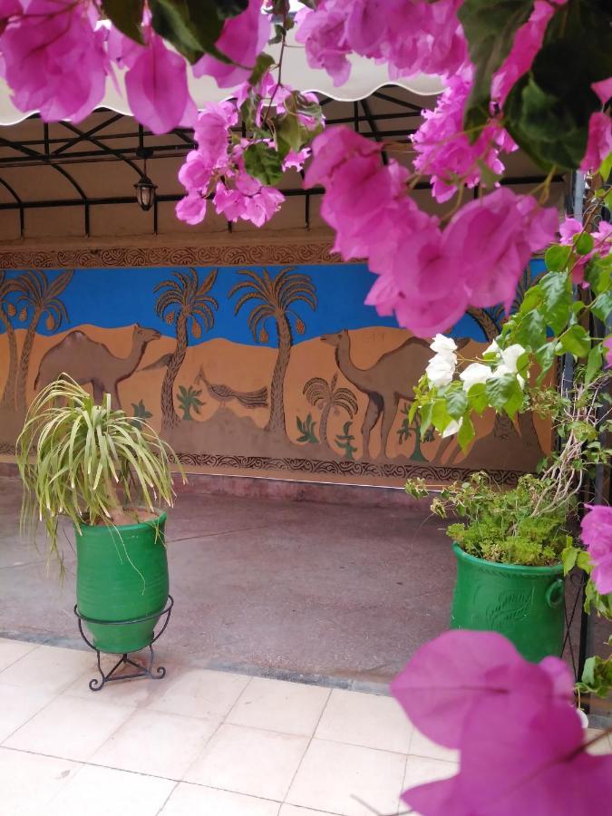 Villa Eden ورزازات المظهر الخارجي الصورة